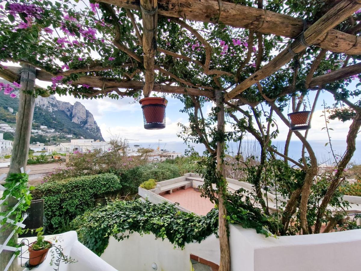 Il Cantuccio Rooms Κάπρι Εξωτερικό φωτογραφία